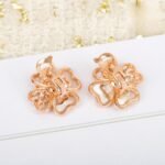Van Cleef and Arpels Cosmos earrings small model - Image 7