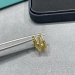 Tiffany and Co TIFFANY Look Small Earrings - Image 2