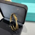 Tiffany and Co TIFFANY Knot Double Row Hinged Bangle - Image 6