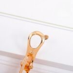 Van Cleef and Arpels Cosmos earrings small model - Image 4