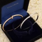 Tiffany and Co TIFFANY T T1 Narrow Diamond Hinged Bangle - Image 2
