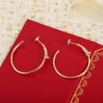 CARTIER Juste un Clou hoop earrings large model diamonds - Image 7