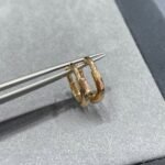 Tiffany and Co TIFFANY Look Small Earrings - Image 2