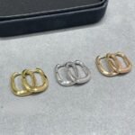Tiffany and Co TIFFANY Look Small Earrings - Image 4