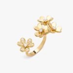 Van Cleef and Arpels Frivole Between the Finger ring