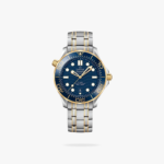 Omega Seamaster Diver 300M 42mm Steel On Steel Blue Dial