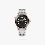 Omega Seamaster Diver 300M 42mm Steel On Steel Black Dial